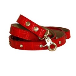 Dog Leads